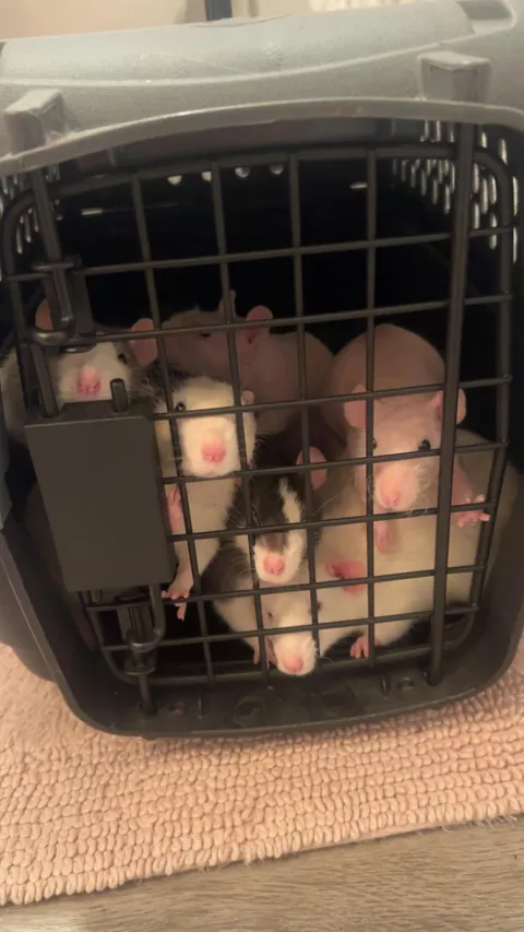 I am actually begging for anybody’s help