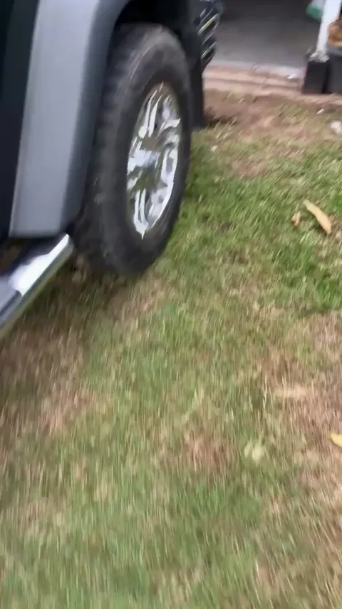 Guess who's proud of digging a hole?