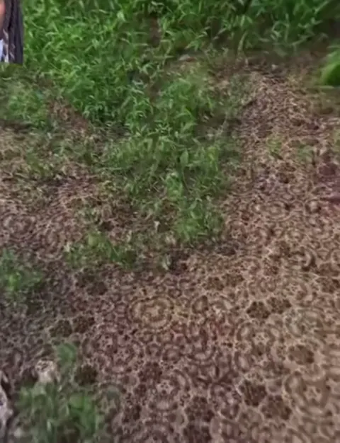 An accurate depiction of tripping.