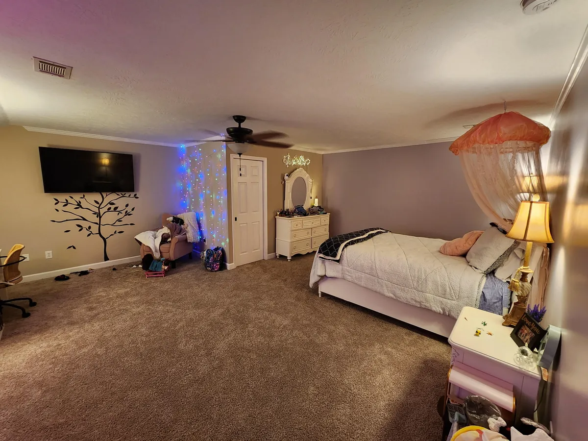 Transformed bonus room to daughter's dream bedroom.