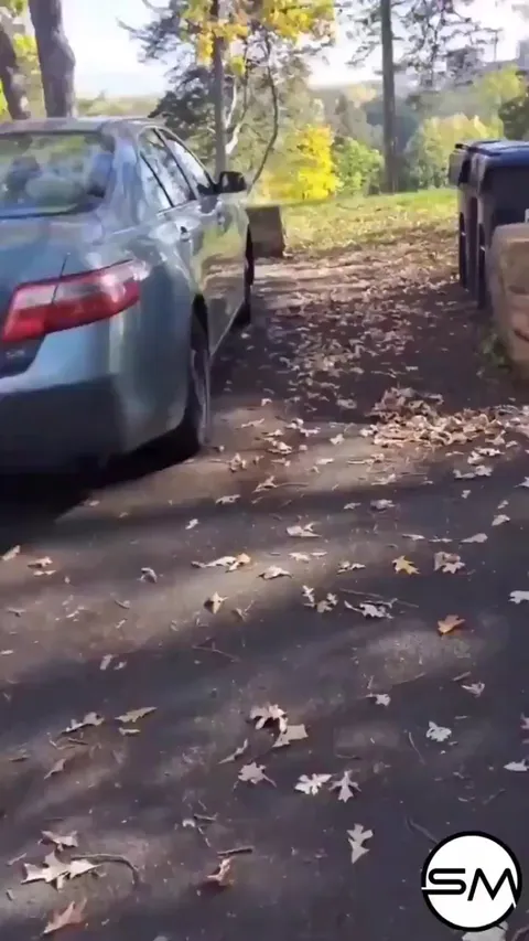 Man catches wife cheating yet again