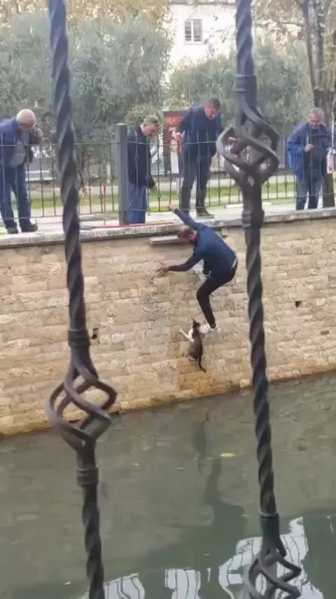 Man rescued cat fallen into a canal