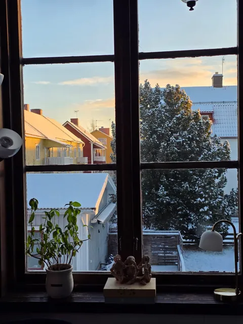 Woke up to a snowy view today