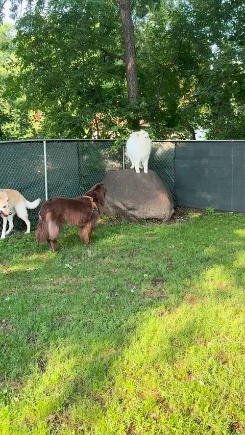 The boys paying respects to her Evilness