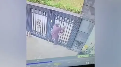 92-year-old woman in China climbs 2-metre high gate to escape from nursing home