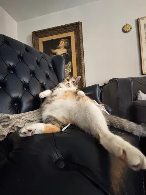 I swear she’s not this fat she just sits funny 😭😭😭