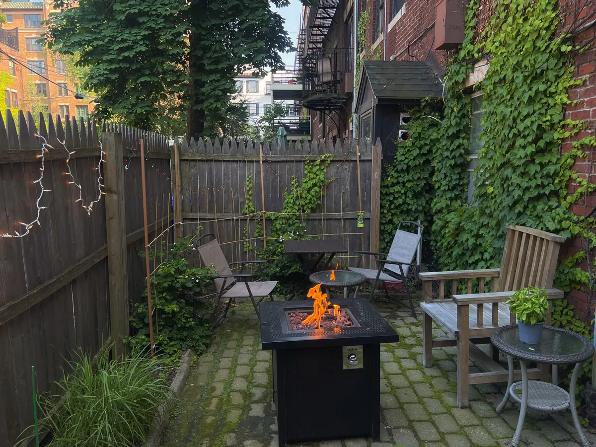 My garden in the city