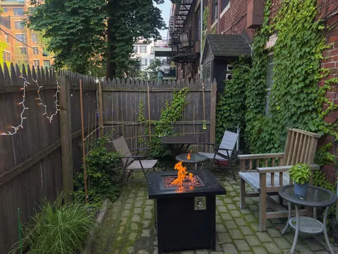 My garden in the city