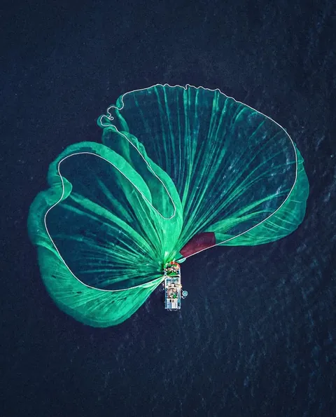 Photographers reveals hidden perspectives only visible from above