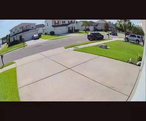 [OC] Company vehicle hit my neighbor's daughter's car this morning.