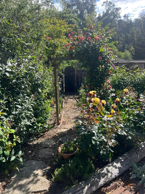 If you love your garden, it’ll love you back (Pt 2)