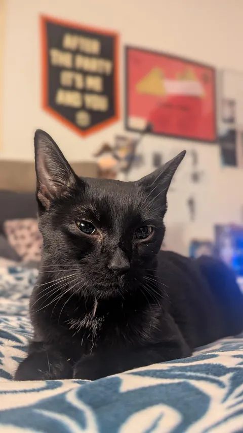 This is my new boy, Oney.