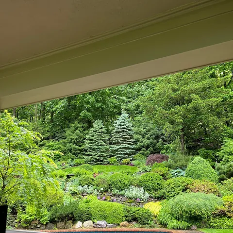 Photos of the backyard section of my mom's garden post-rain!