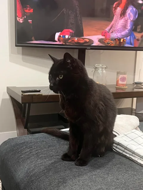 We have been together 19 1/2 years now!