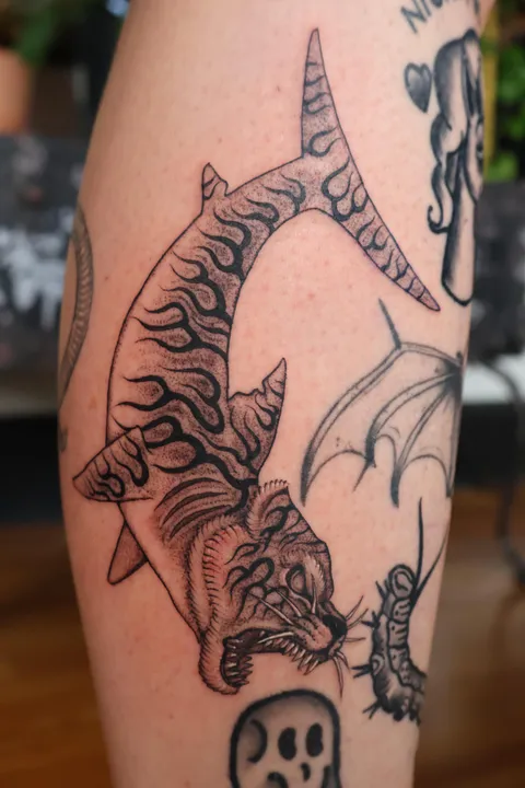 Tiger Shark! What do you guys think?