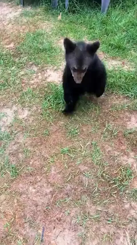 So cute and harmless while still little