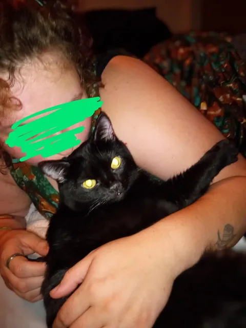 The post that changed my life and gave me my girl