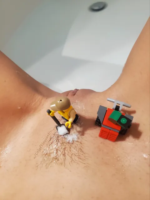 Seasonal maintenance services (f)