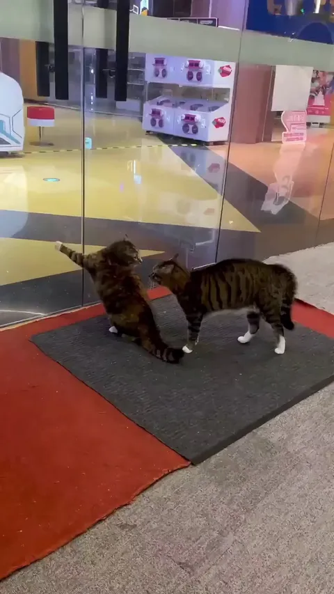 There are two type of friends