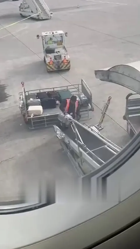 Greek airport worker goes viral after caring for rescue animals after their flight