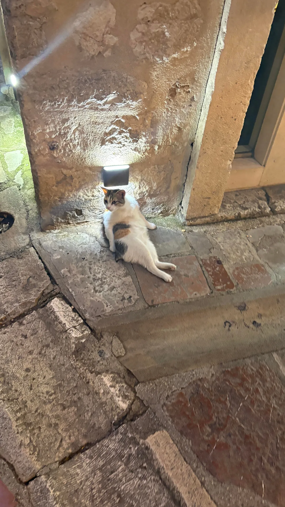 I visited Montenegro in the Summer!