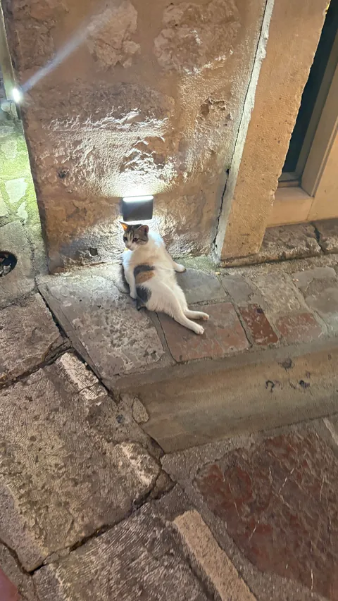 I visited Montenegro in the Summer!