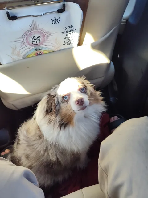 Her name is actually Derpy. For good reason