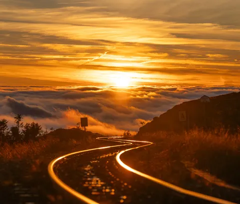 does this crop work?