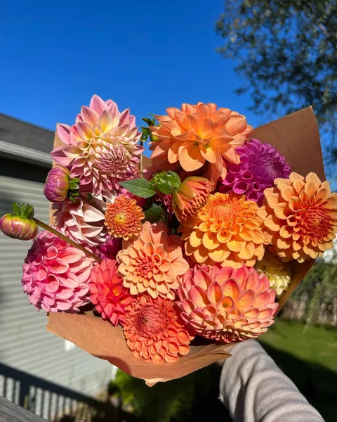 Possibly my last bouquet before the frost.