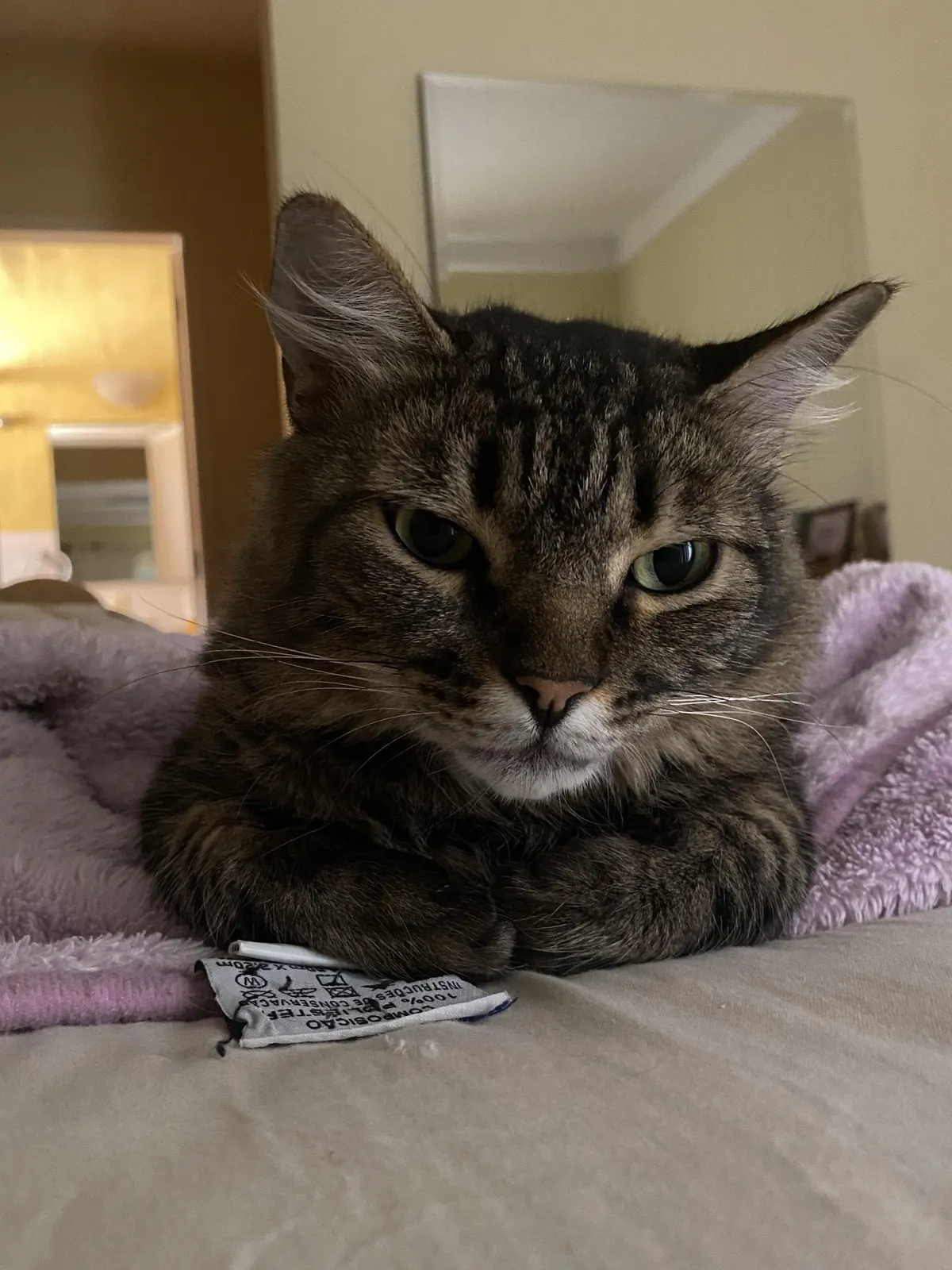 Cute and polite boy.