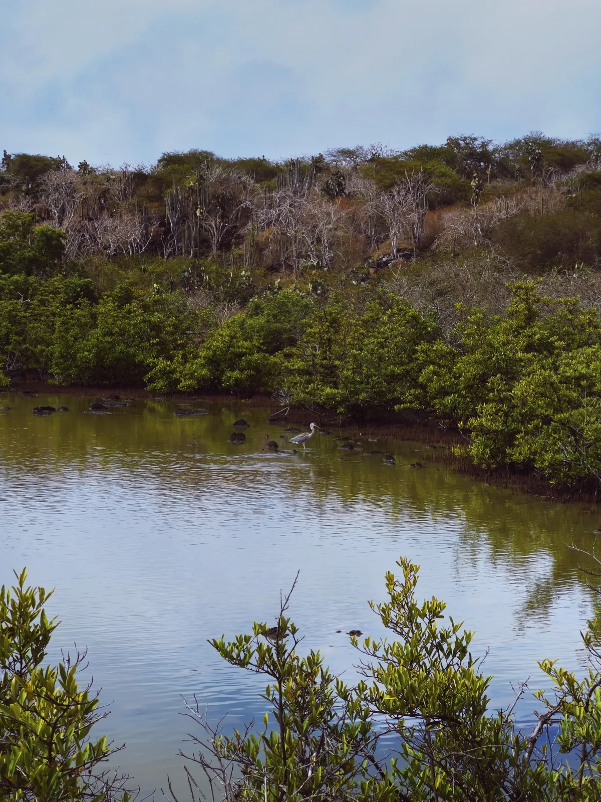 5 days in Galapagos in Sep 2025.