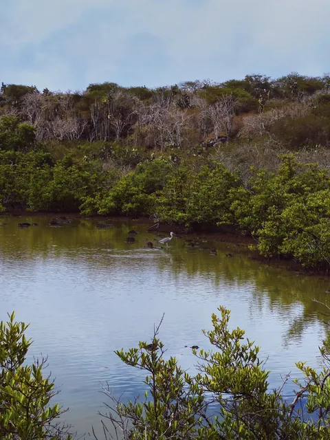 5 days in Galapagos in Sep 2025.