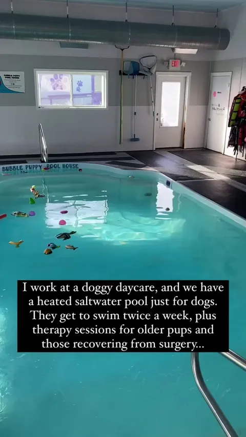 The perfect job does exi-