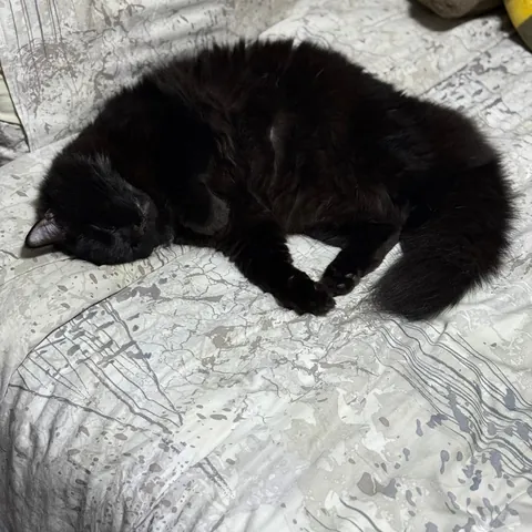 Why does he sit like that? 😂