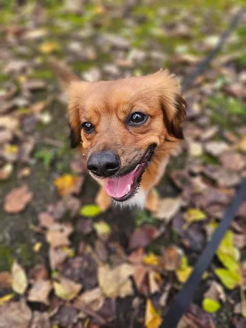 Kevin is contagious happiness in a small package