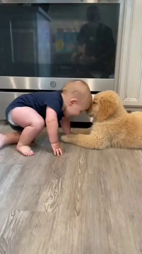 Kid having fun with his doggo