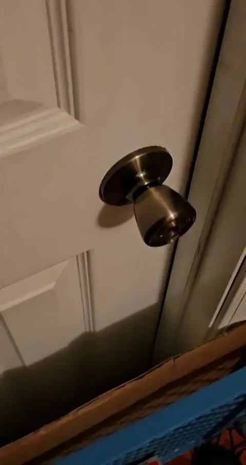 Eden, my foster kitty, yells at me every morning. She's the sweetest little girl.