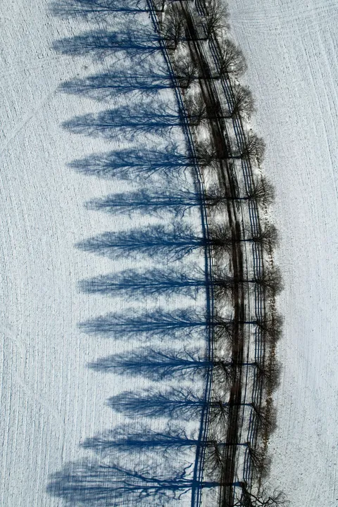 ITAP of shadows on the snow.