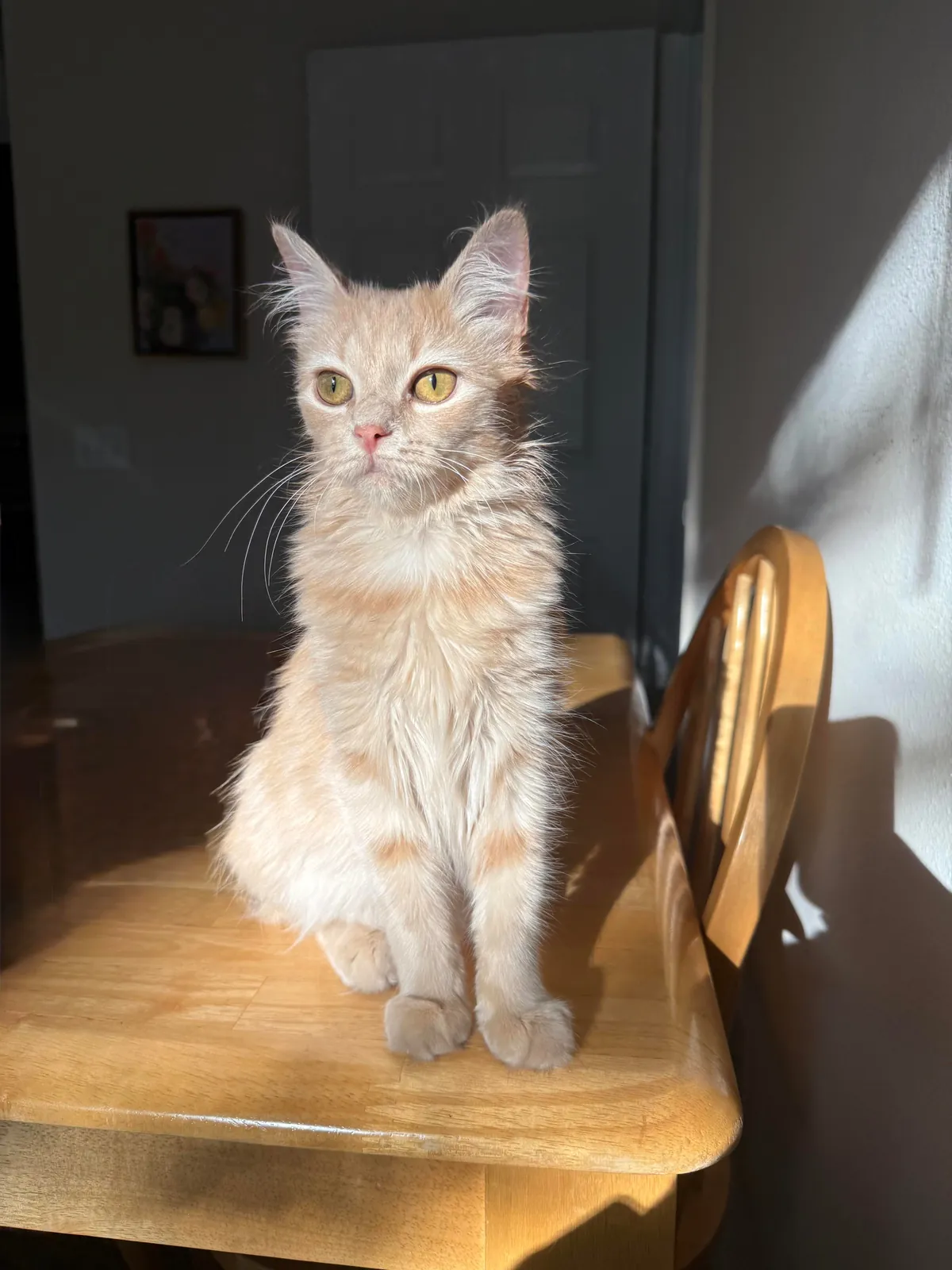 My sweet little lady