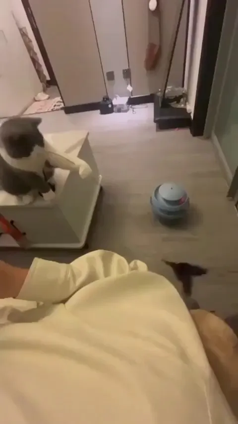 My my how the turns have tabled