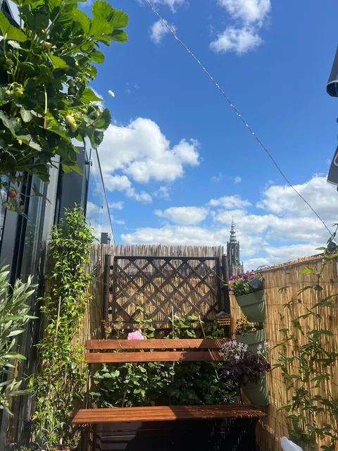 My tiny but cozy balcony during the night and day🌘🌞🌹🌸🌼
