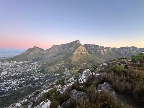 Cape Town is my new favorite city 🇿🇦