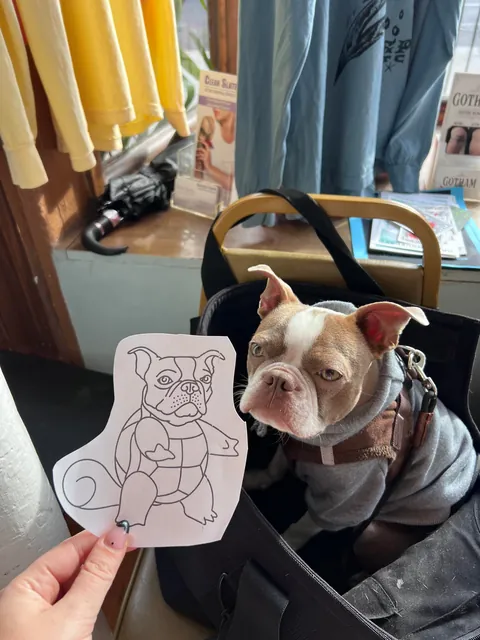 What I asked for vs what I got