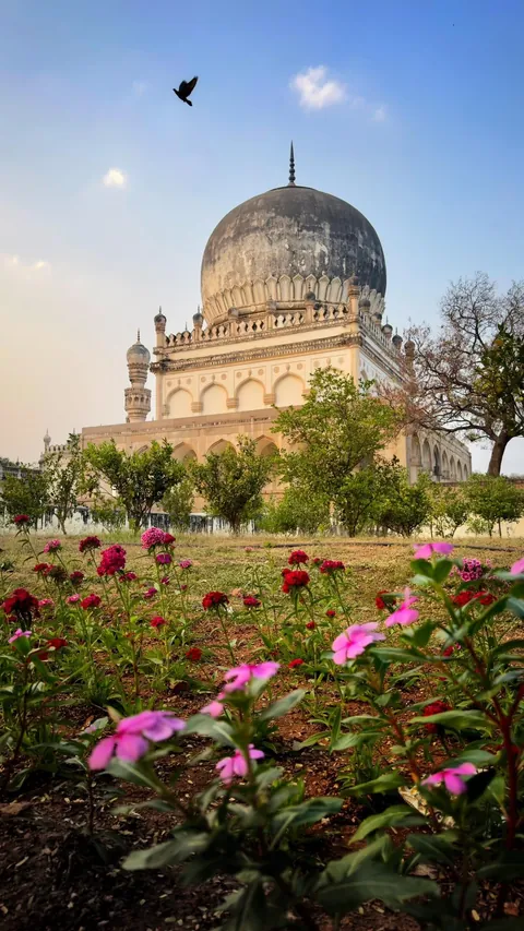 4 weeks in Central and North-ish India w/ group tours: the good and bad