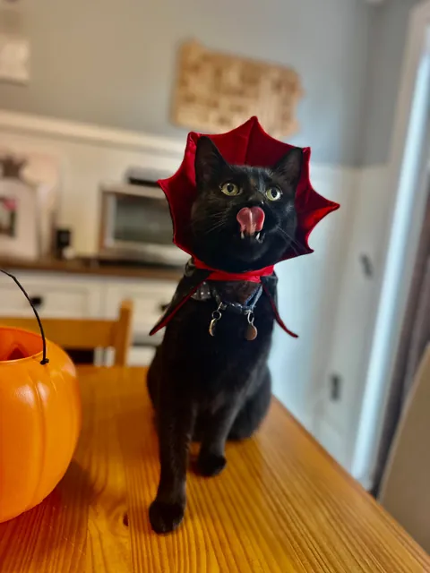 They call him The Prince of Darkness