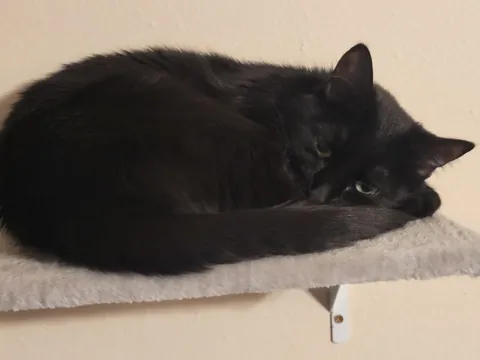 She looked so cute I just had to take a picture, but I accidentally woke her 😅