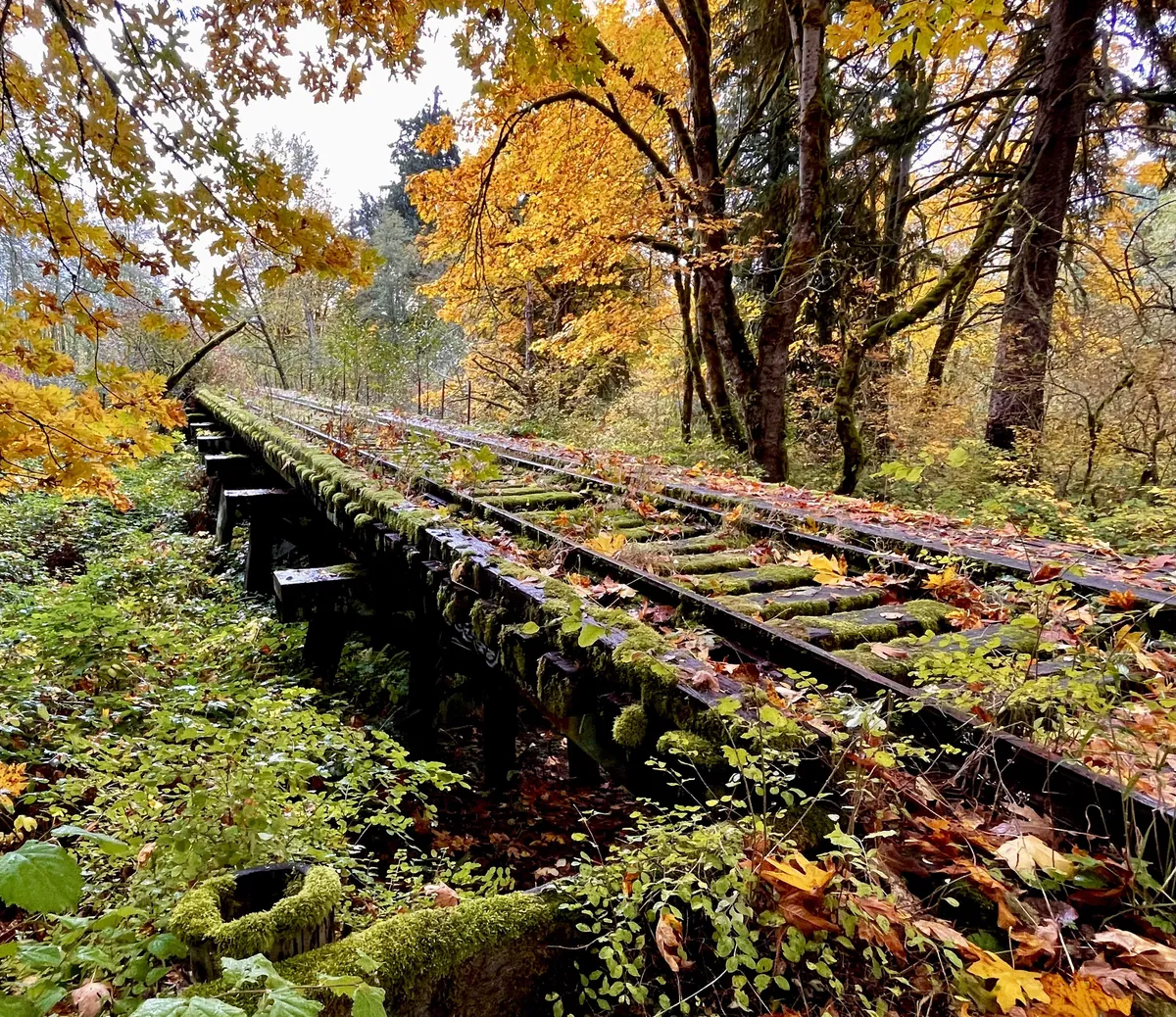 Railroad spur to an abandoned timber mill, Washington state [OC]
