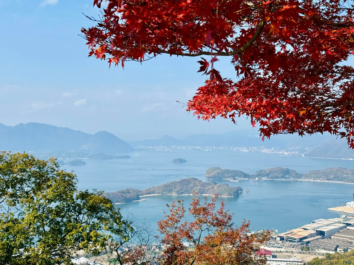 Japan in fall 🍁⛩️🚴‍♀️