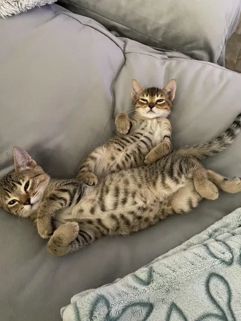 They love each other