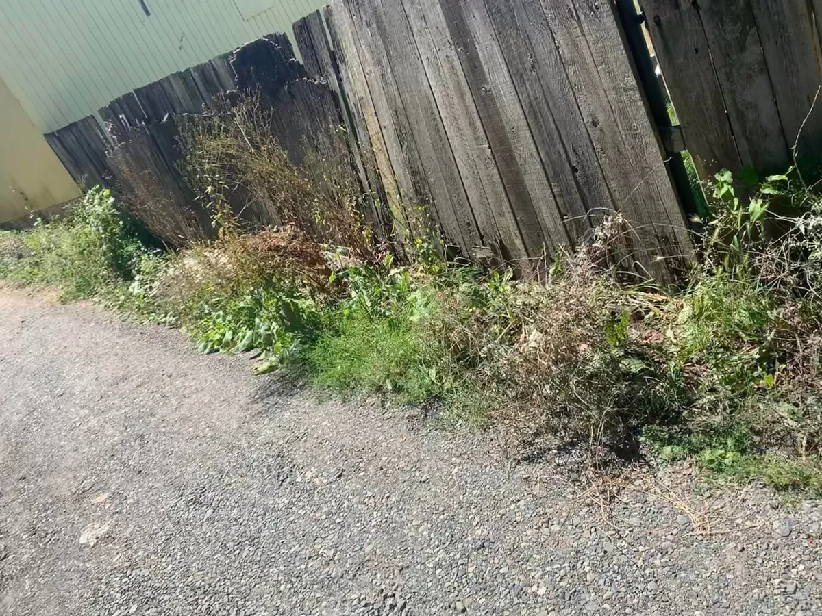 A few years ago my rotting fence fell over so I decided to build it back better.